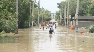 Screenshot 2024-07-12 114602