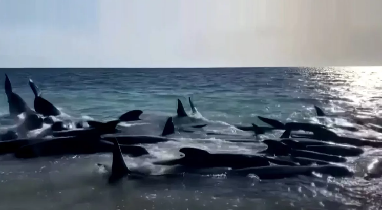 Screenshot 2024-07-12 124659