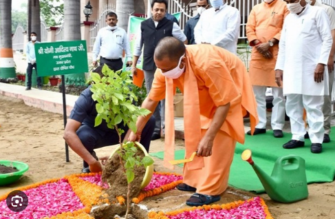 Screenshot 2024-07-13 112252