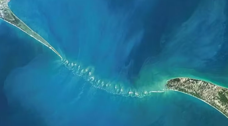 Screenshot 2024-07-14 125853