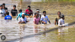 Screenshot 2024-07-15 111241