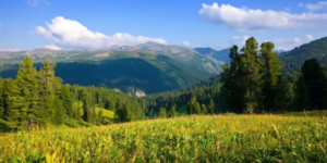 Screenshot 2024-07-16 122748