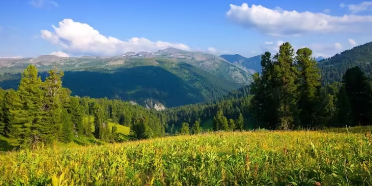 Screenshot 2024-07-16 122748