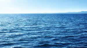 Screenshot 2024-07-17 122857