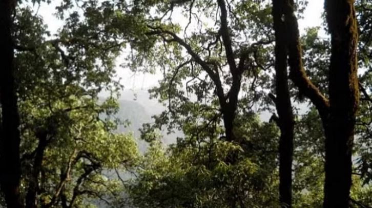 उत्तराखंड