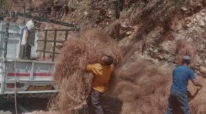 उत्तराखंड