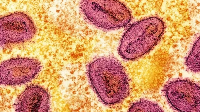 Screenshot-2024-08-20-135646