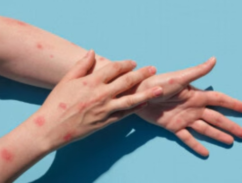 Screenshot 2024-08-29 100148