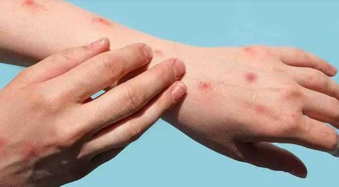 Screenshot 2024-08-29 102951