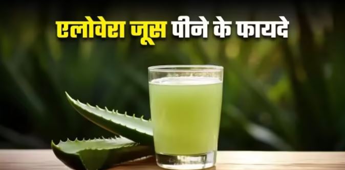 एलो वेरा