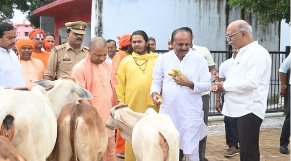 गोरखपुर