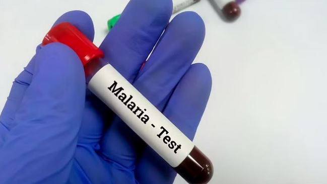 मलेरिया