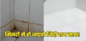 लाइफस्टाइल