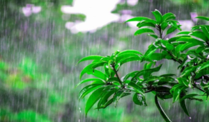 Screenshot 2024-09-06 114023