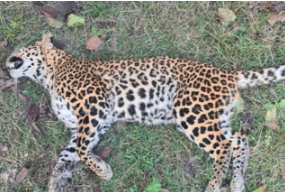 Screenshot 2024-09-18 120826