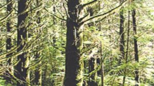 उत्तराखंड