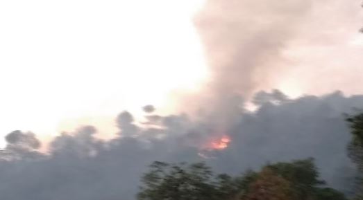 उत्तराखंड