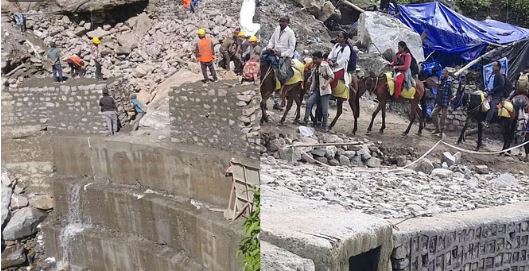 केदारनाथ