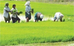 हरियाणा