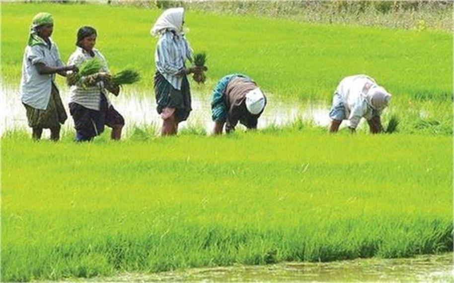 हरियाणा