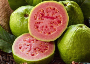 Screenshot 2024-10-12 100356