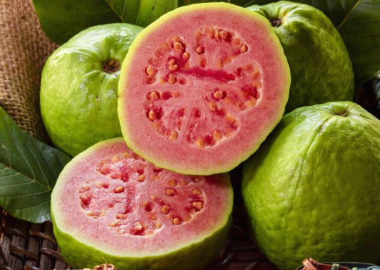 Screenshot 2024-10-12 100356