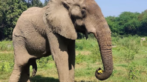 Screenshot 2024-10-12 120622