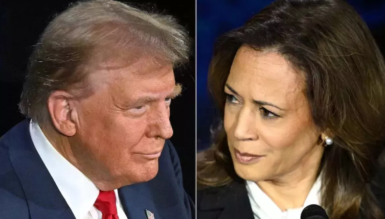 Screenshot 2024-10-13 101118