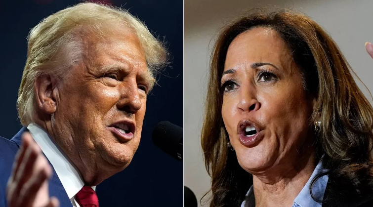 Screenshot 2024-10-13 101323