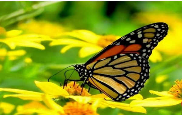 Screenshot 2024-10-13 111910