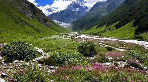 वैली ऑफ़ फ्लावर