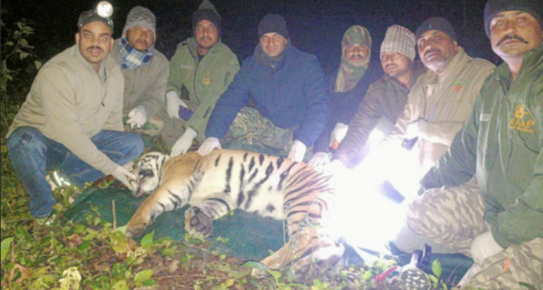 Screenshot 2025-12-14 033350