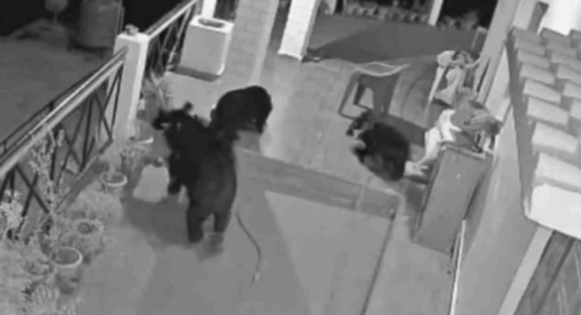 Screenshot 2025-12-20 032523