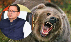 Screenshot 2025-12-25 013918