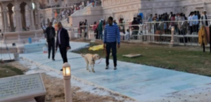 Screenshot 2026-01-11 032911