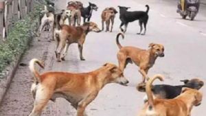 Screenshot 2026-01-12 000348