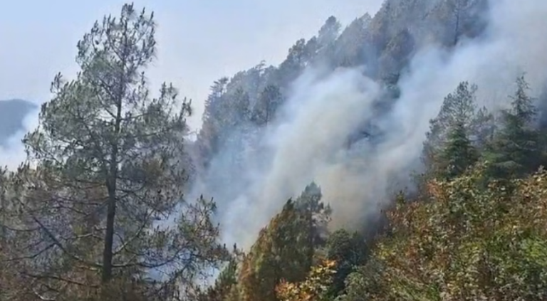 Screenshot 2026-01-13 210331