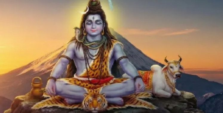 Screenshot 2026-01-17 235822