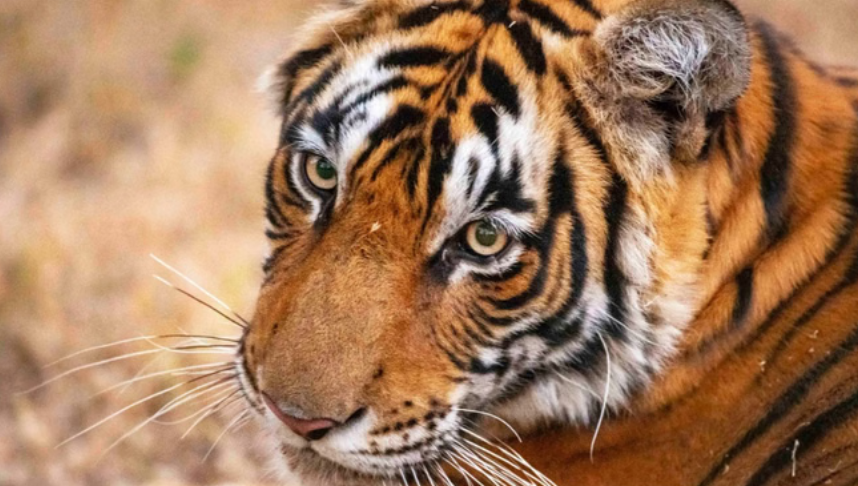 Screenshot 2026-01-19 210838