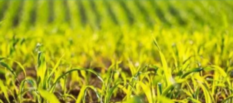 Screenshot 2026-01-20 212306