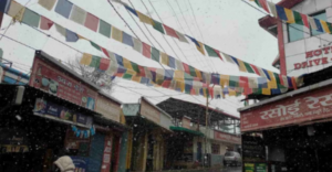 Screenshot 2026-01-22 221633