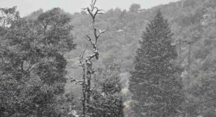 Screenshot 2026-01-26 230052