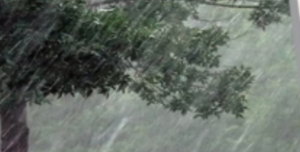 Screenshot 2026-01-27 221034