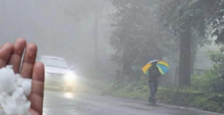 Screenshot 2026-01-29 213313