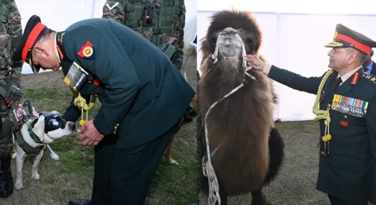 Screenshot 2026-01-30 204559