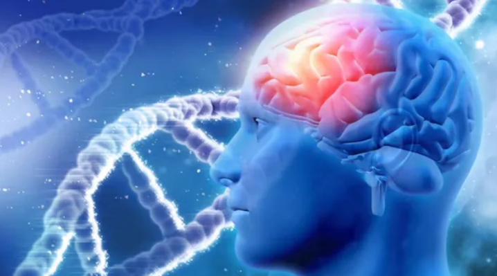 Screenshot 2026-01-31 210620