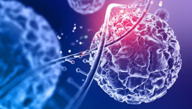 Screenshot 2026-02-03 204018