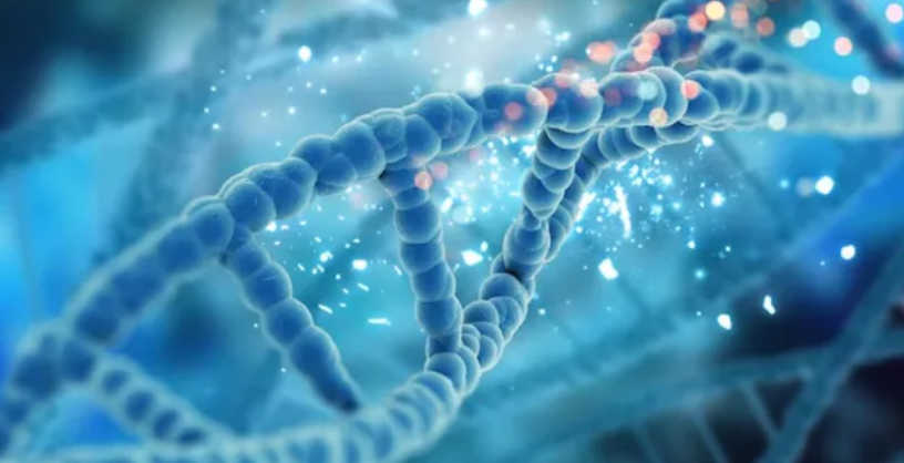 Screenshot 2026-02-04 205626