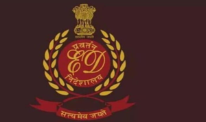 Screenshot 2026-02-04 234845