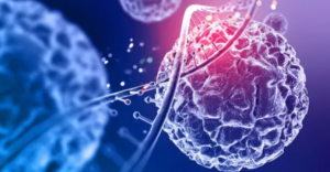 Screenshot 2026-02-06 205131